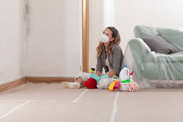 Reliable Mold Remediation contractor in Seguin, TX by WQB Mold Removal